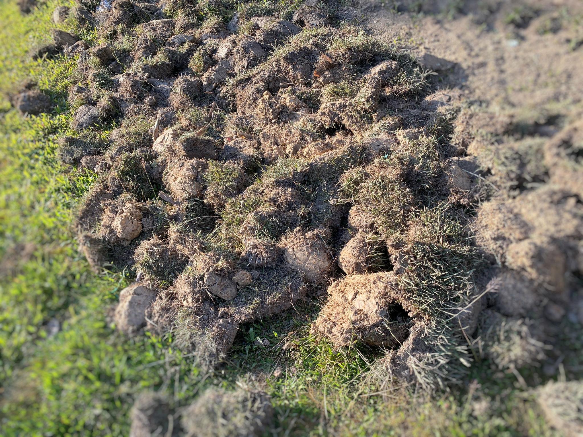 Urejanje vrta – Štih&Go